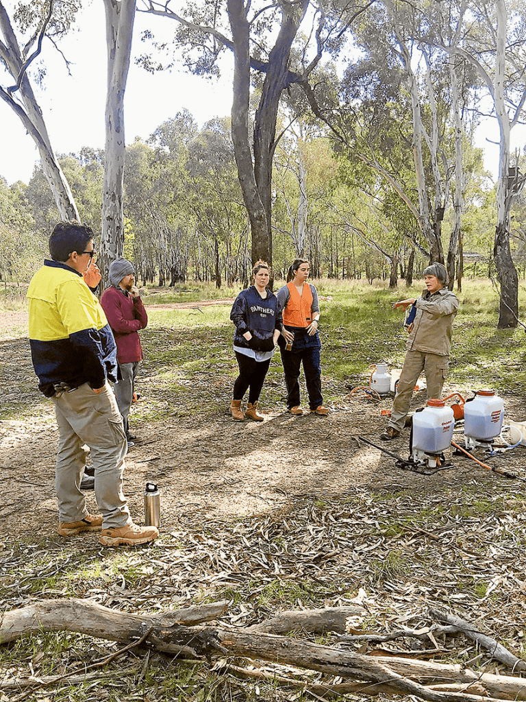 A WORKING RELATIONSHIP… From left, GOTAFE students, Matthew Keane, anonymous, Rebecca O’Sullivan and Prue Abela working collaboratively with Friends of the Botanic Gardens member, Sally Mann. Photo: Supplied.
