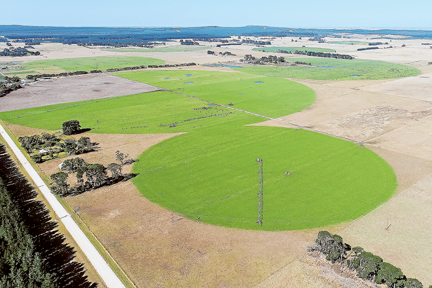 SLICE OF SOUTH AUSTRALIA… Green Triangle Real Estate has a stunning and established dairy situated in the south east of South Australia for sale. Photo: Supplied. 