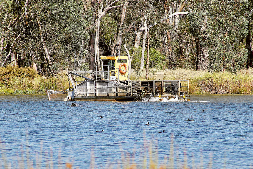 ENSURING A GREAT COMMUNITY FACILITY… An aquatic harvester was doing laps of Victoria Park Lake last week cutting the Ribbon Weed. Photo: David Lee.