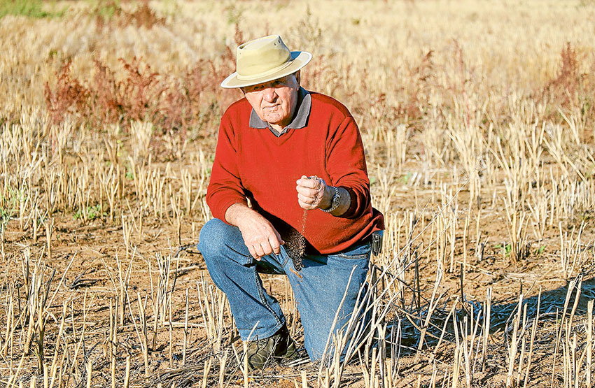 DRY CONDITIONS AND NO WATER ARE A WORRYING COMBINATION… A lack of rain and low water levels at Lake Eildon could spell disaster for local orchardists in the next 12 months says long term local orchardist, Bill Sali. Photo: Katelyn Morse.