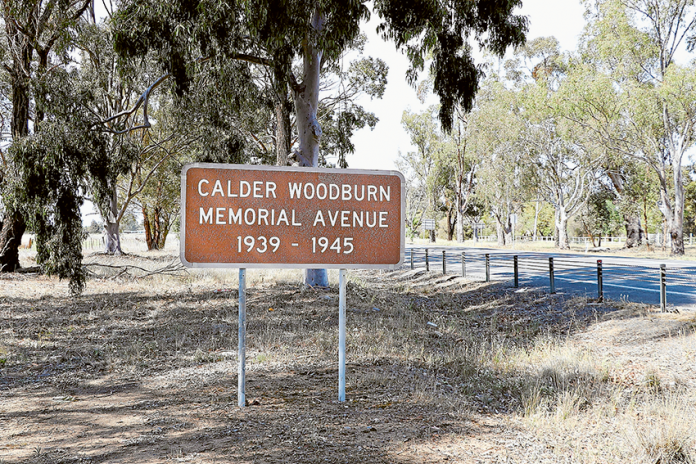 ED---Calder-Woodburn-Memorial HISTORICALLY SIGNIFICANT… The historically significant Calder Woodburn Memorial Avenue is set to undergo restoration. Photo: Katelyn Morse.