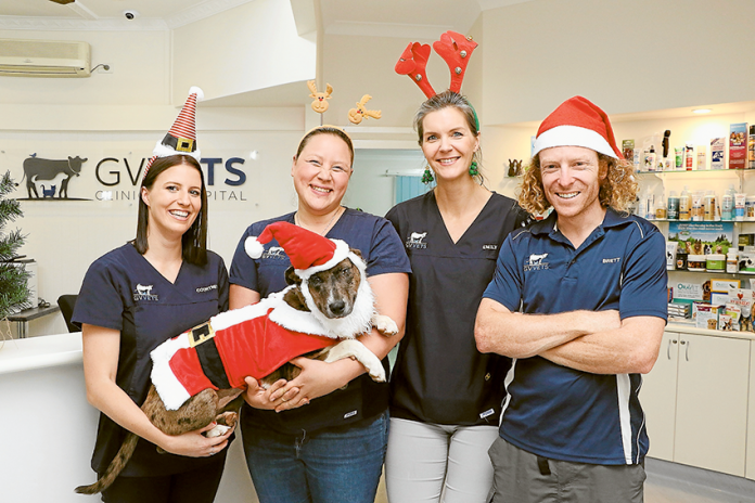 DECK THE PAWS… From left, GV Vets veterinarians, Courtney McGrath, Frances Jenner, Emily Horneman and Brett Davis would like to woof everyone a happy ‘howlidays.’ Photo: Katelyn Morse.