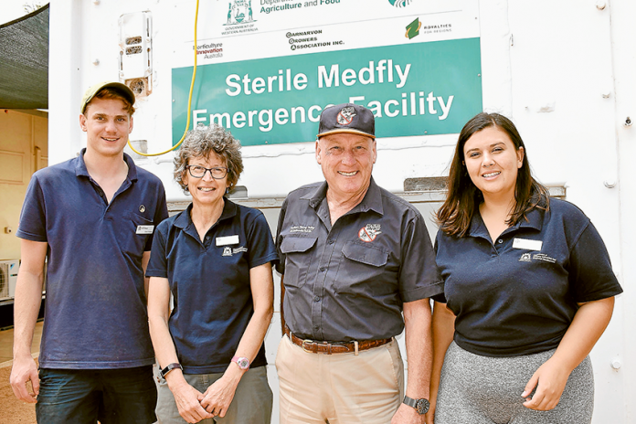 ADV---Moira-Shire-Fruit-Fly KEEPING THE VALLEY FRUIT FLY FREE… From left, Goulburn Department of Primary Industries and Regional Development (DPIRD) personnel, Elliot Howse, Rosalie McCauley, Goulburn Murray Valley Regional Fruit Fly coordinator, Ross Abberfield and DPIRD technical officer, Keelin Smith are working together to eradicate the Queensland Fruit Fly. Photo: Supplied.
