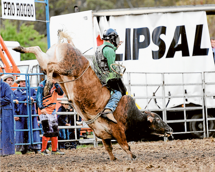 BEAUT BUCKIN’ AT THE RODEO… The Alexandra Rodeo returns this year under lights for a fun night of entertainment. Photo: Supplied