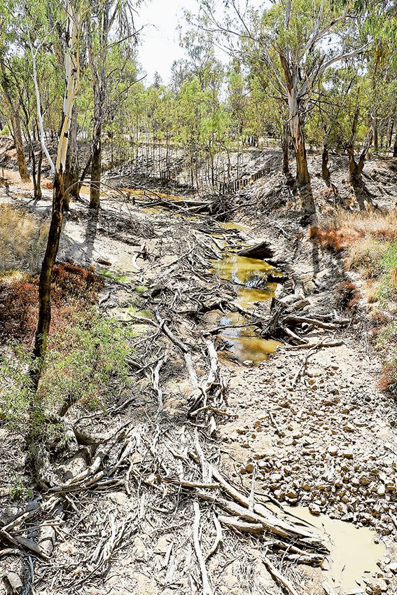 ED---Seven-Creeks-drought PARCHED RIVERBED… With the region experiencing drought, rivers are running dry, like Seven Creeks. Photo: Katelyn Morse.