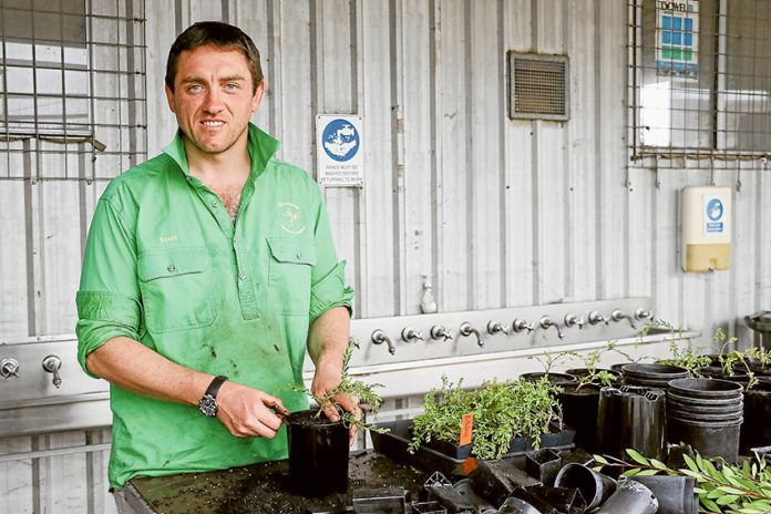 MAKING A DIFFERENCE… Billabong Garden Complex supported employee, Scott Muldeary is helping propagate plants in the Propagation Nursery ahead of Mother’s Day. Photo: Katelyn Morse.