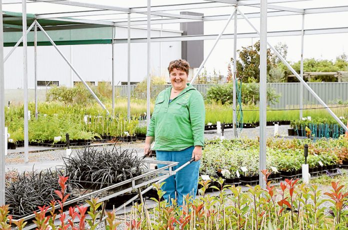 GV GREEN THUMBS… Billabong Gardens Complex supported employee, Daphne Crocker is glad to be getting her hands dirty in the propagation nursery. Photo: Katelyn Morse.