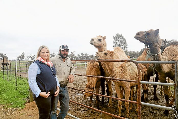 ED---Camel-Milk-Co-awarded