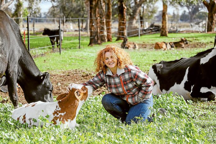 ED---How-Now-Dairy