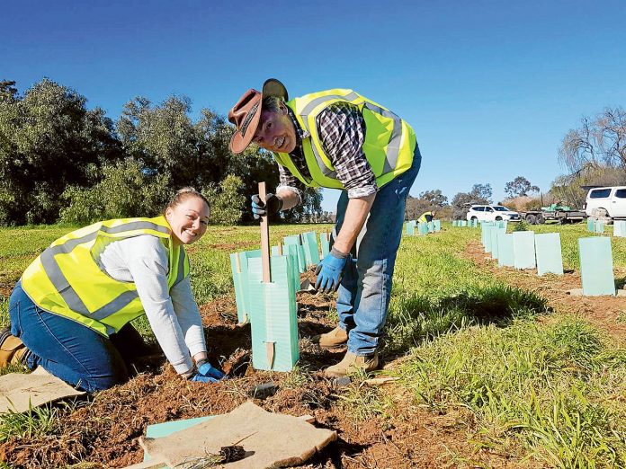 ED---Unilever-Tree-Planting-Day