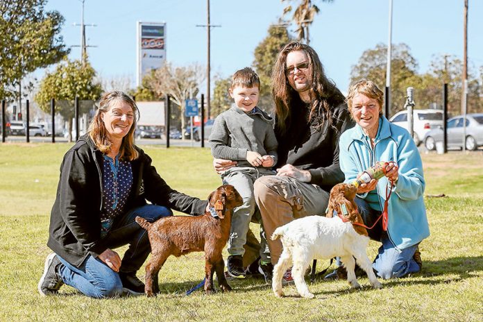 ADV---Shepparton-Show