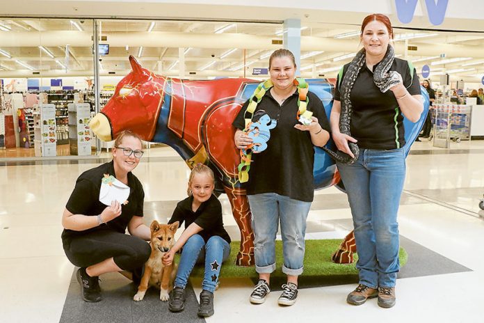 FREND---Shepparton-Marketplace