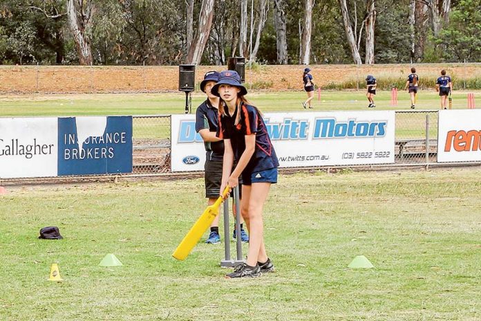 SPORT - Cricket Kids