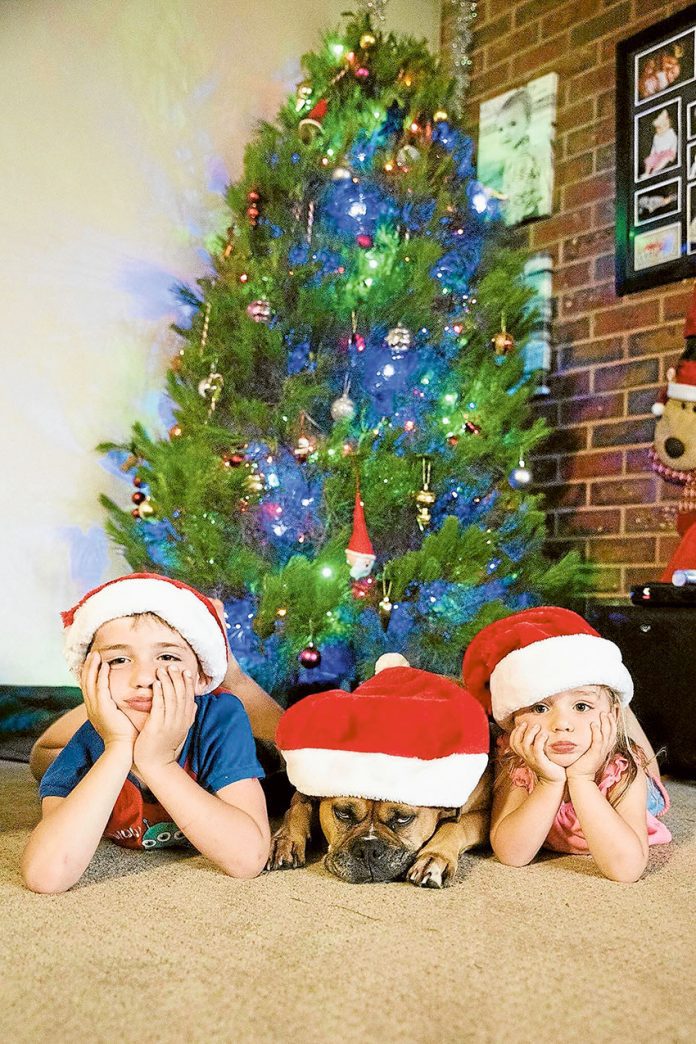 GG---Christmas-SUYS