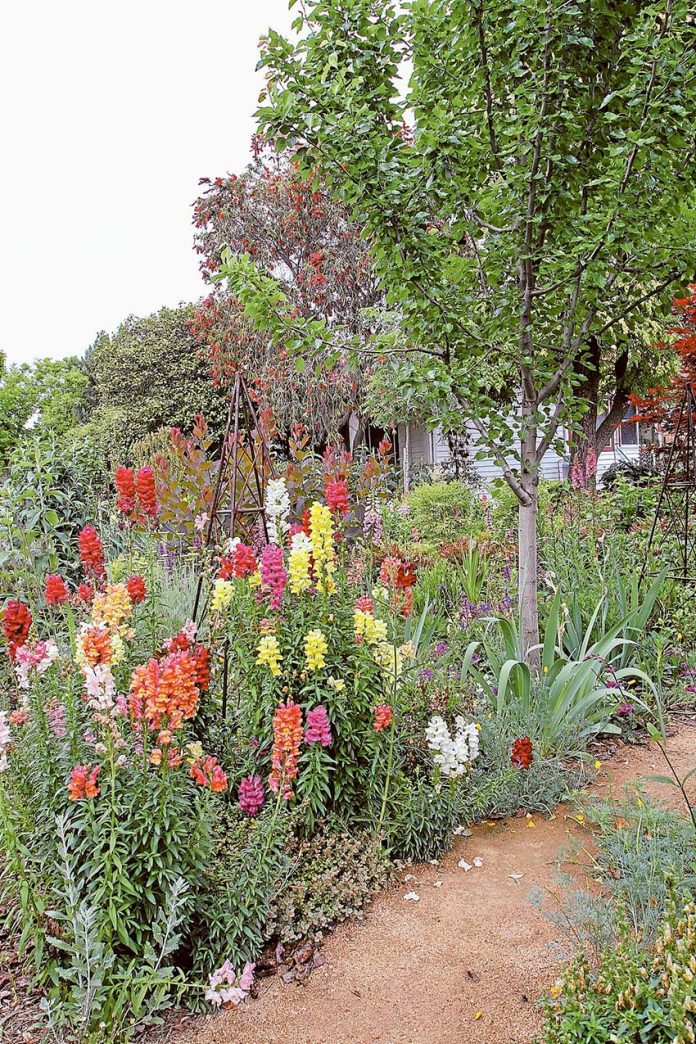 HNL - General Garden-3