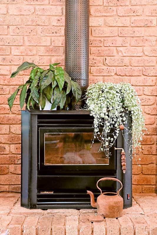 UHG---Indoor-plants