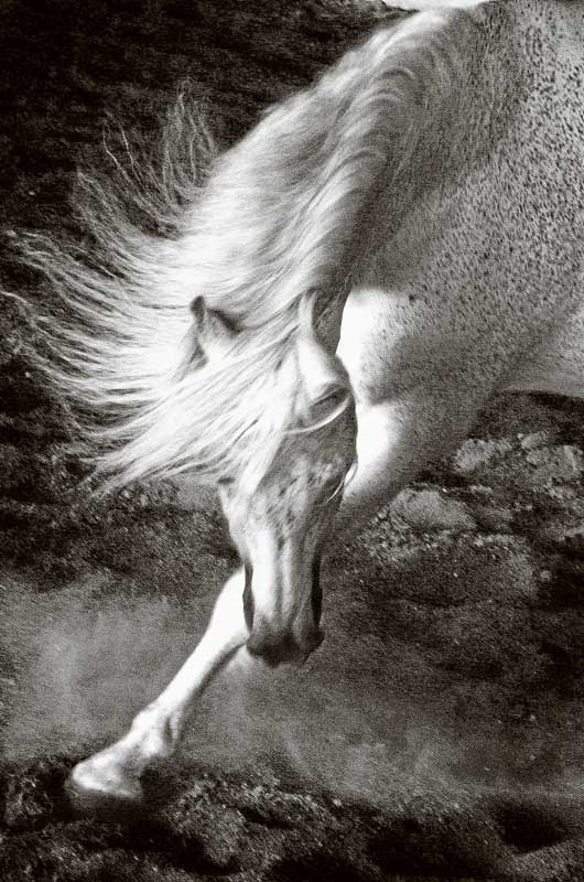 ED---Serana-Hunt-Hughes