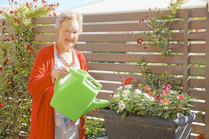 SENIORS---Shepparton-Villages