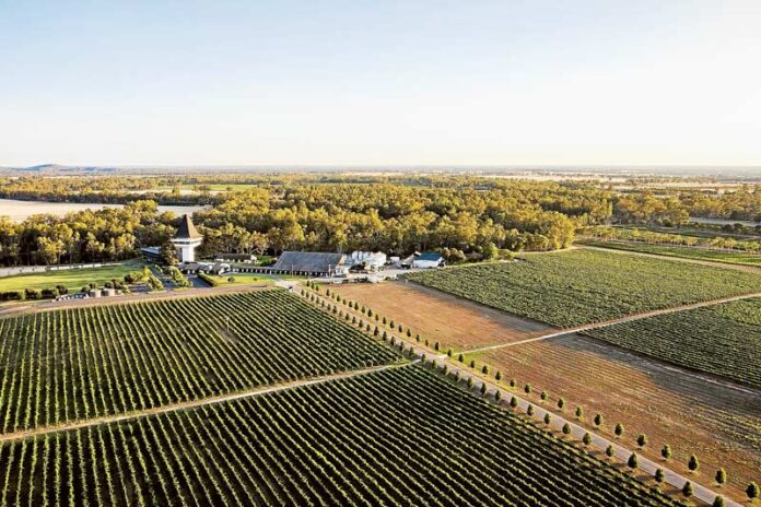 ED-Wine-Tasting-New-1