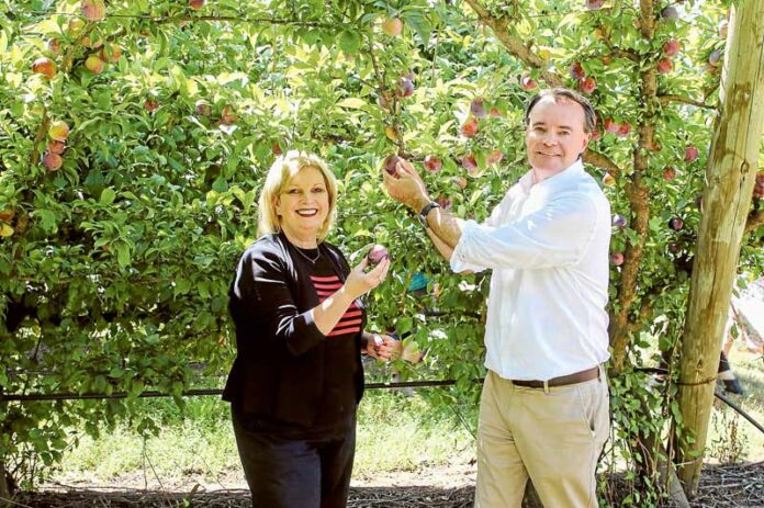 ED---O'Brien-Fruit-Picking-1