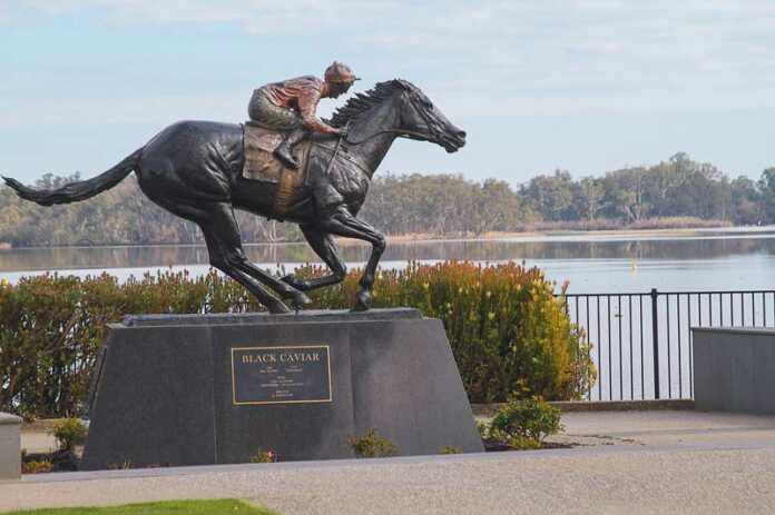 ED---Nagambie-Health-1