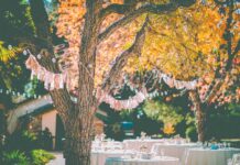 Tips for throwing the perfect garden party