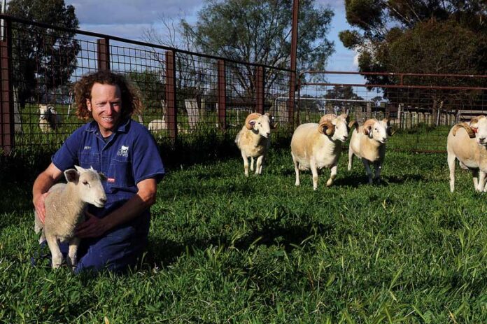 ED---GV-VETS-1 HOLISTIC CARE FOR BELOVED PETS... Co-owner, Dr Brett Davis, wants more people to know that there are pain relief options available for animals undergoing common procedures and GV Vets Clinic and hospital are ready to help. Photo: Kelly Lucas.
