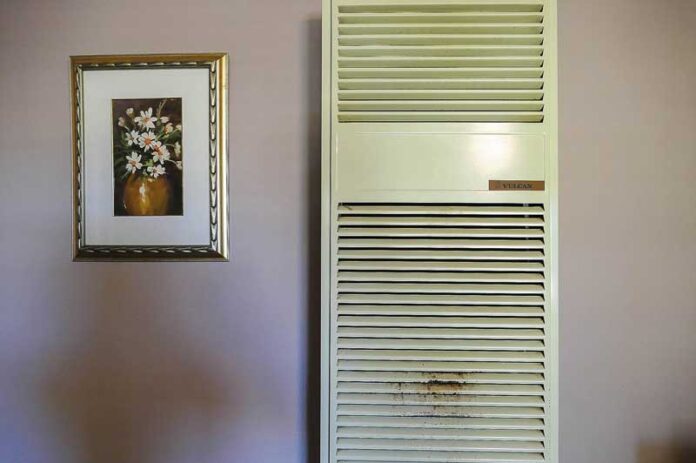 ED---SENIORS-FEATURE-2