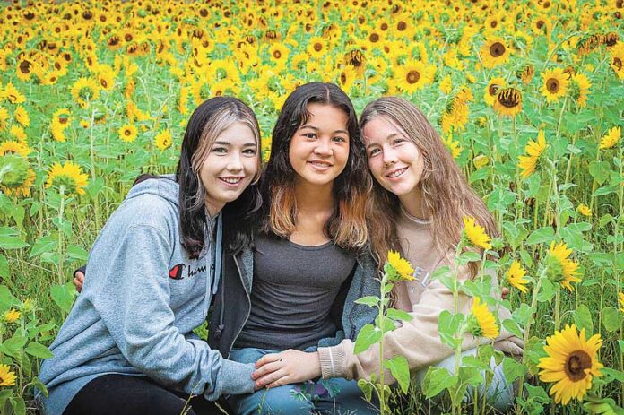 ED---SUNFLOWER-FESTIVAL-1