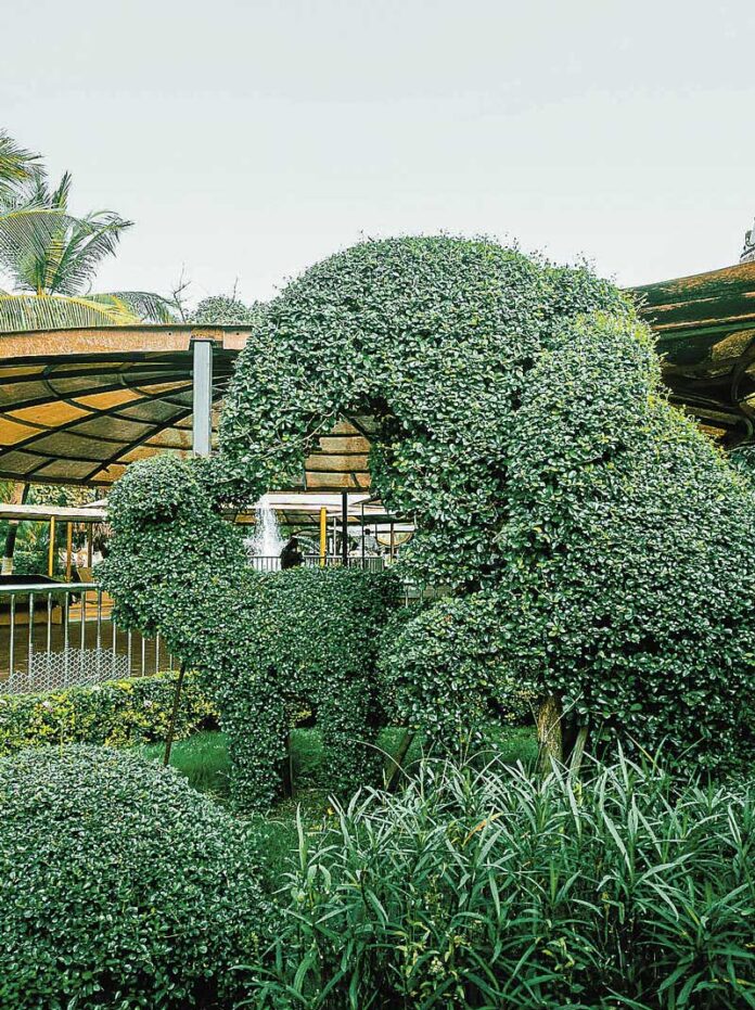 ULT-HOUSE-AND-GARDEN--FUN-WITH-HEDGE-1