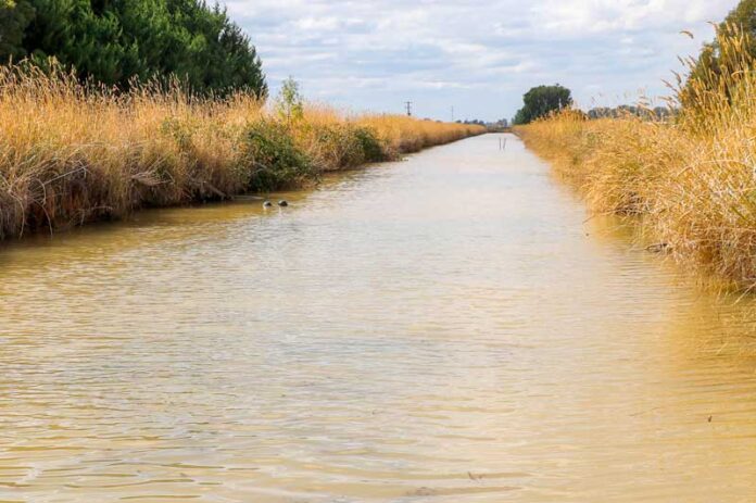 ED---Water-Channel-1