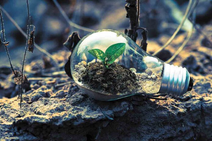 ED-EnergySavingProgr_28043