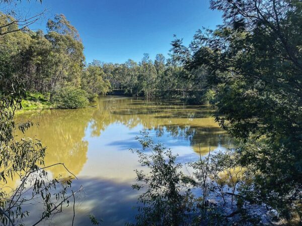WATER RELEASE WILL IMPROVE HABITAT IN LOWER GOULBURN RIVER... The Goulburn Valley Catchment Authority will release water from the Goulburn Weir from mid-September. Photo: Supplied