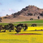 CONTRASTING LANDSCAPE... Dookie looking great in stunning spring colours. Photo: Susan Marshall