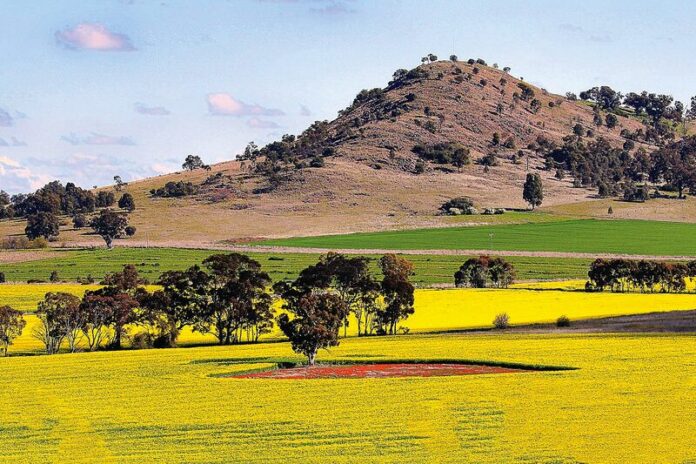 CONTRASTING LANDSCAPE... Dookie looking great in stunning spring colours. Photo: Susan Marshall
