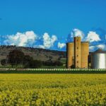 RURAL SCENE... Shepparton Camera Club member Susan shows off this stunning rural display. Photo: Susan Marshall.