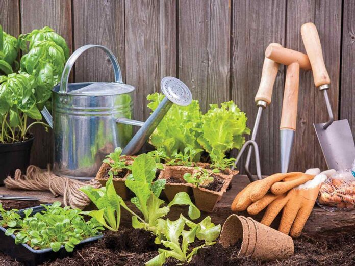 HL---ED---FRUIT-N-VEG-SPRING-1