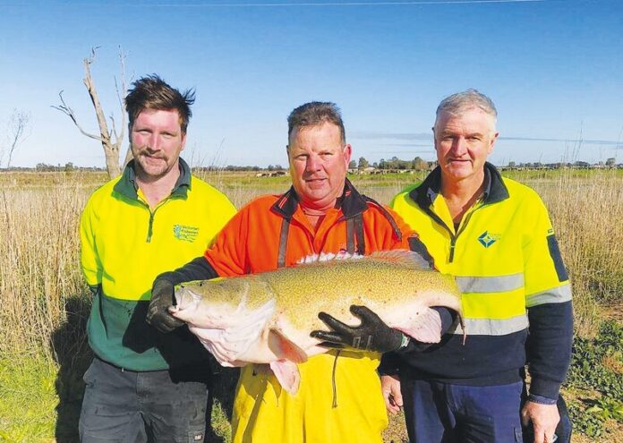 ED-Nativefish_18576