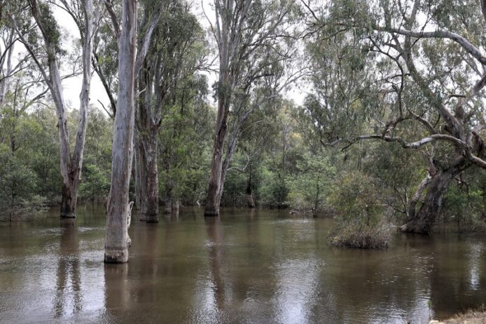 DANGER LURKS BENEATH THE SURFACE... There are a number of hazards to beware of when boating, swimming or relaxing around waterways. With many rivers and creeks not patrolled, it is important to take precautions to stay safe. Pictured is the Goulburn River. Photo: Deanne Jeffers