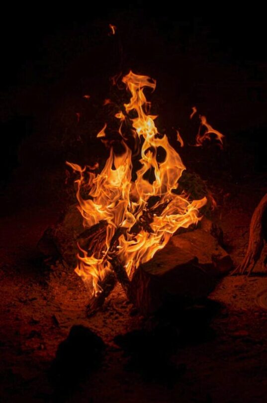 REDUCE THE RISK... The CFA has some tips to help prepare your property for bushfire season. Photo: Kelly Carmody