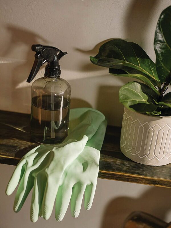 PEST CONTROL THIS SUMMER... As the weather heats up, cleanliness as well as practical adjustments to your home can keep the nasties away. Photo: Supplied