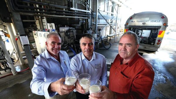 CHEERS TO THAT...With over 160 years of experience in the dairy industry, and six generations of farming expertise, the Mulachy family are renowned specialists in their field. Pictured is Kyvalley Dairy group director Peter Mulcahy, group managing director Wayne Mulcahy and group director David Mulcahy. Photo: Supplied