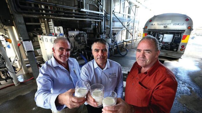 OURGV-ED-Kyvalley_63827 CHEERS TO THAT...With over 160 years of experience in the dairy industry, and six generations of farming expertise, the Mulachy family are renowned specialists in their field. Pictured is Kyvalley Dairy group director Peter Mulcahy, group managing director Wayne Mulcahy and group director David Mulcahy. Photo: Supplied