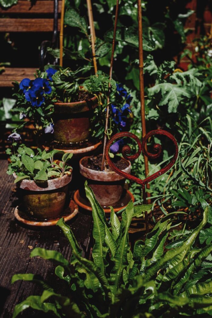 IN THE ELEMENTS... Summer is coming but with a little preparation, you can protect your plants, pots and lawn. Photos: Supplied