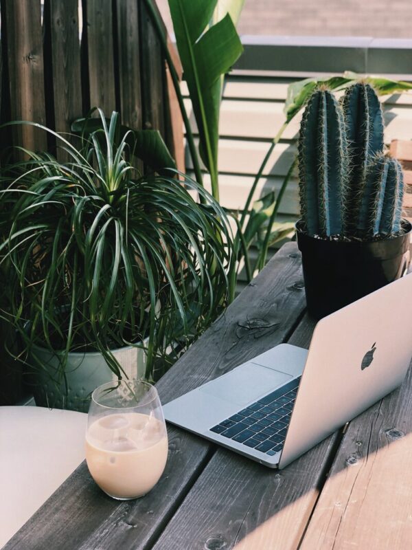 ACTIVATED BY AIR... Take your laptop outside and try working in the garden for a change of scenery. Photo: Supplied