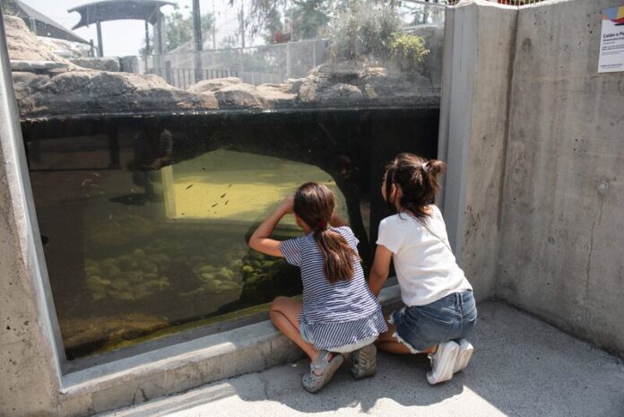 ZOOEXPERIENCE_16375