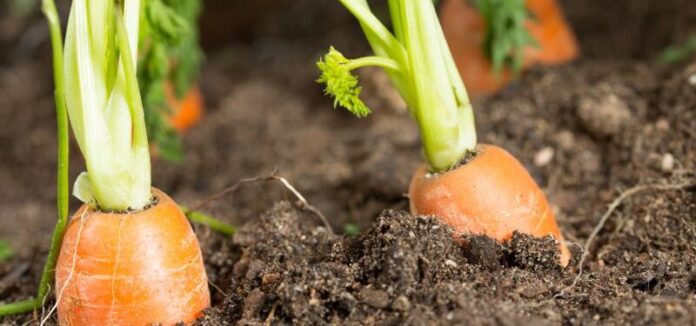 605419fd39d17421a791_85813