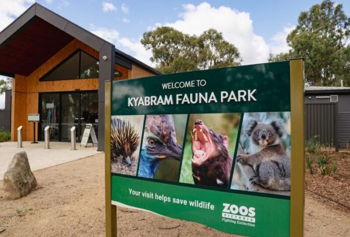 Screenshot2023-10-23_19244