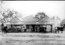 From Whim to township