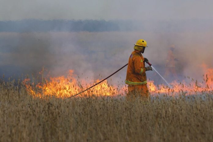Burn-off1_09594